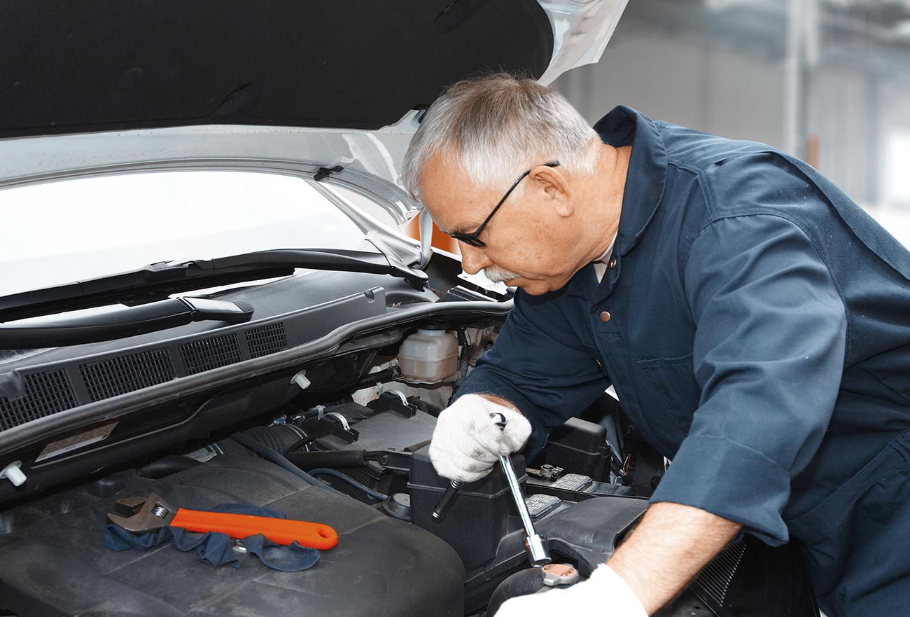 Profissionais Especializados